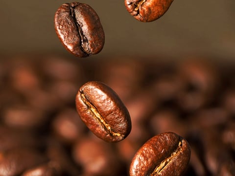 Fotografia macro per caffetterie e contenuti audiovisivi per social